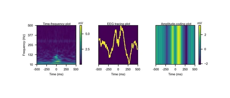 The input image fed into the CNN architecture for deep learning training.